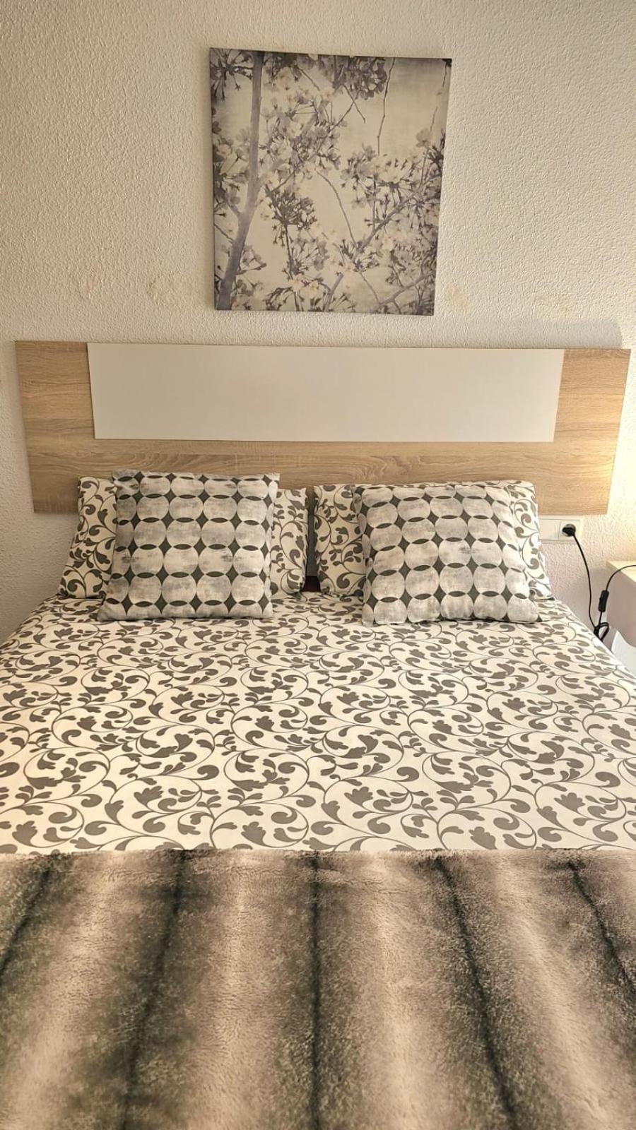 Ideal Holiday Apartment One Bedroom City Center 马拉加 外观 照片